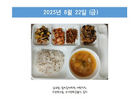 2025년 8월 4주차 중식(..