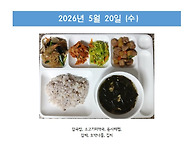 2026년 5월 3주..