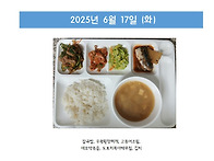 2025년 6월 3주..