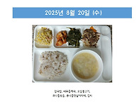 2025년 8월 4주..