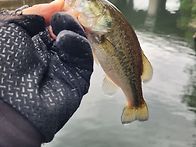 간만에 점심 짬낚