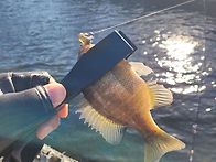 추울땐 철탑으로