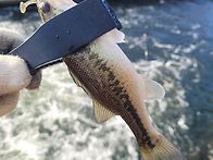 간만에 철탑~~춥다....