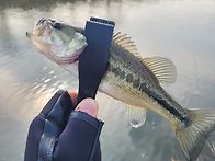 2026년3월5일 짬낚