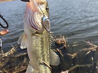 2026년2월28일 군위