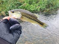 연휴 마지막날 오랜만에 ..