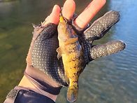 오늘도 잠시 꺽지얼굴보러..