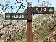 쫏비산