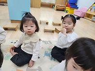 2월 4째주 초롱꽃..