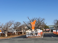 오렌지라이프골프 `19,1..