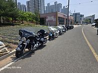 사천 와룡축제 등