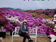 260502 늦봄 여행