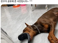 내 신발 어디 갔지?