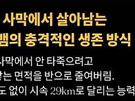 生存을 위해