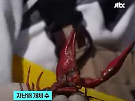 수달의 功
