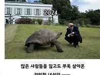 거북이는 長壽 動物