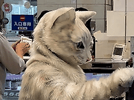 고양이가 cashier