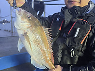 참돔 대령이요~~