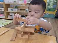 🌳나무와 놀아요4