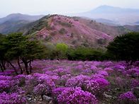 고려산