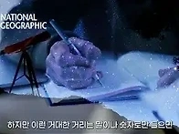 카시니 탐사선은 왜 스스로..
