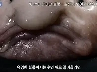 또 다른 행성, 지구의 바..