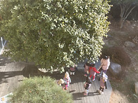 1월에 한반나들이..