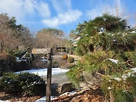 양구 봉화산(2026. 03...