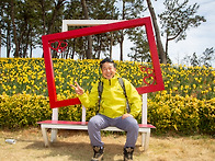 신안 선도2