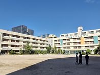 타로심리 연수