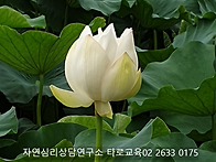 [번개마감]스터디&삼겹살 ..