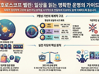 [신청]오라클 타로배우기 ..