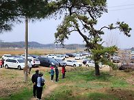 고려산 진달래 축제
