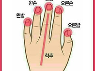 손 마사지 7가지