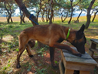 새 파트너^^ 잘생..