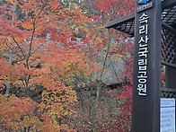 속리산 문장대에 오르다.