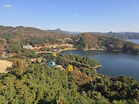 만추의 청남대에서 눈부신..