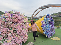 화순 봄 꽃 축제