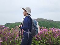 보성 일림산(황의현님작품..