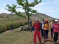 경남합천황매산(2)