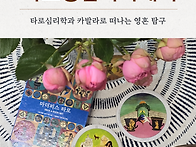 [7기타로상담아카데미]타로..