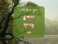 10월의 숲에서 글쓰기