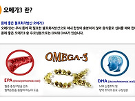 EPA와 DHA 섭취량과 오메..