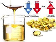 알티지 오메가3 효능과 알..