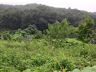 충주시 노은면 전..