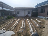 충주시 금가면 스..