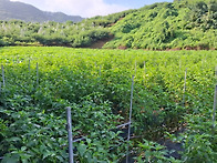 괴산군 장연면 2..