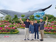 한마리 새가 되여..