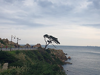 하늘로부터 났으면..