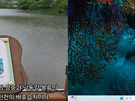 합천 정양늪(내 맘속의 바..